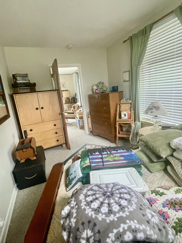 404 W Court St, Ludington, MI 49431 - view of carpeted bedroom