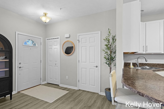 3514 River Run St, Wyoming, MI 49418 - entryway featuring light wood finished floors and baseboards