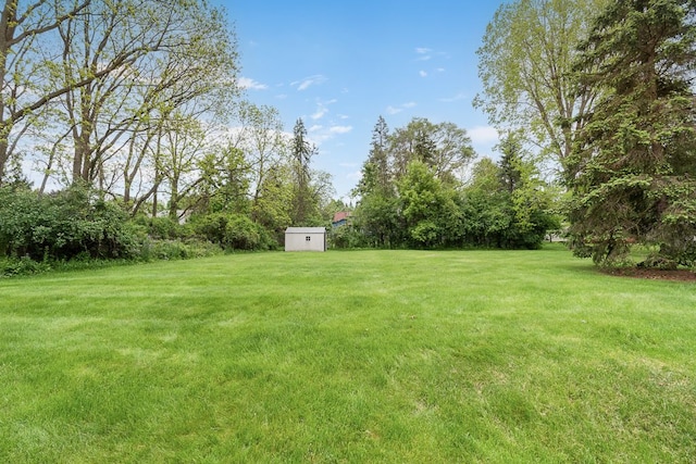 8187 Sawgrass Trl, Grand Blanc, MI 48439 - view of grassy yard