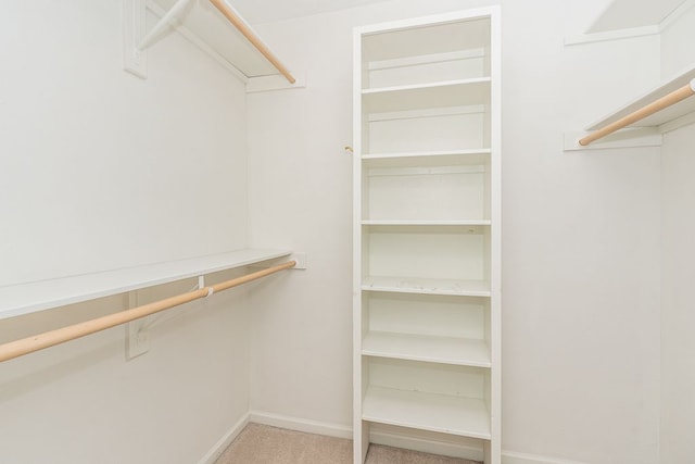 8187 Sawgrass Trl, Grand Blanc, MI 48439 - walk in closet featuring carpet