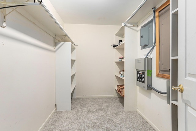 1817 High Pointe Ln, Ann Arbor, MI 48108 - walk in closet with carpet flooring
