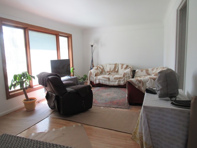 living room featuring wood finished floors