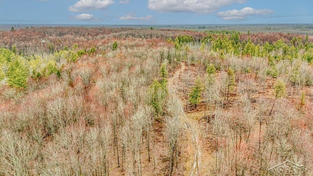 N948 Old Plank Rd, Wetmore, MI 49895