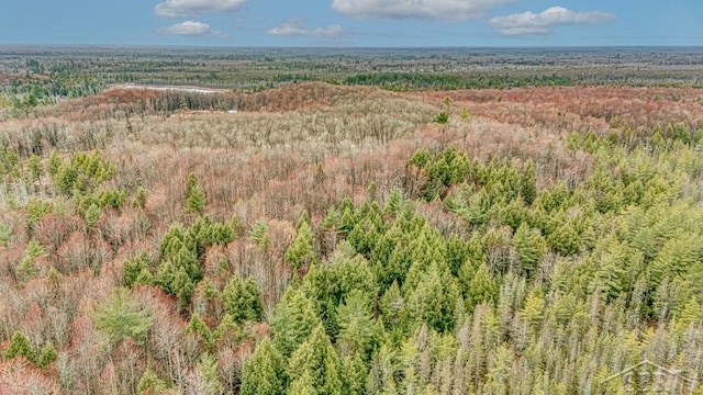 N948 Old Plank Rd, Wetmore, MI 49895