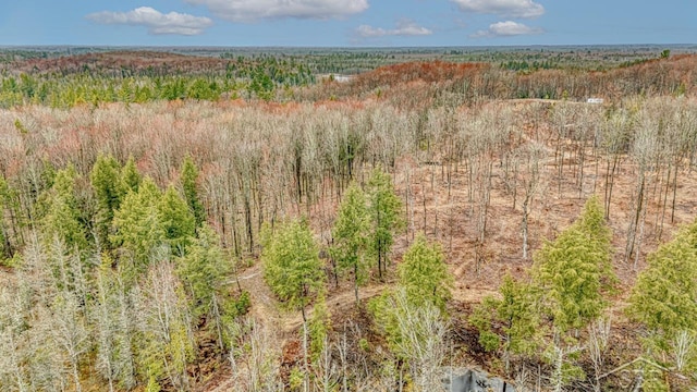N948 Old Plank Rd, Wetmore, MI 49895