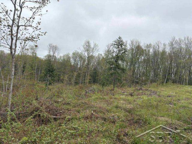 N948 Old Plank Rd, Wetmore, MI 49895