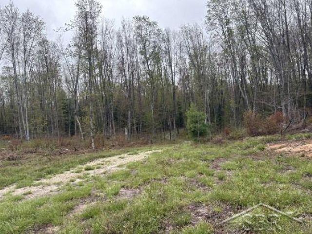 N948 Old Plank Rd, Wetmore, MI 49895