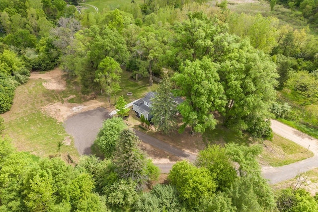 10820 Cedar Lake Rd, Pinckney, MI 48169 - view of subject property featuring a forest