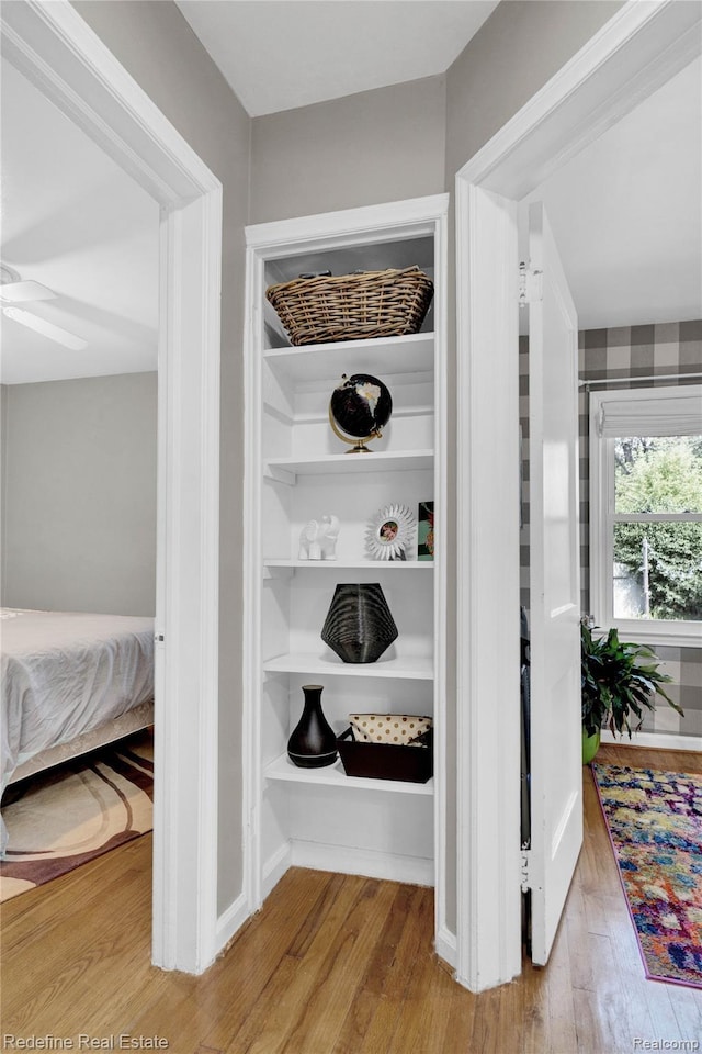 1976 Bacon Ave, Berkley, MI 48072 - view of closet