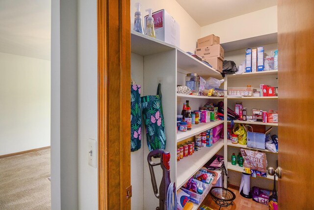 41925 Waterwheel Rd, Northville, MI 48168 - view of storage area