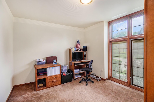 41925 Waterwheel Rd, Northville, MI 48168 - carpeted office space with baseboards and ornamental molding