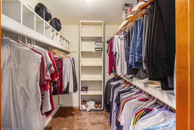 41925 Waterwheel Rd, Northville, MI 48168 - spacious closet featuring carpet flooring