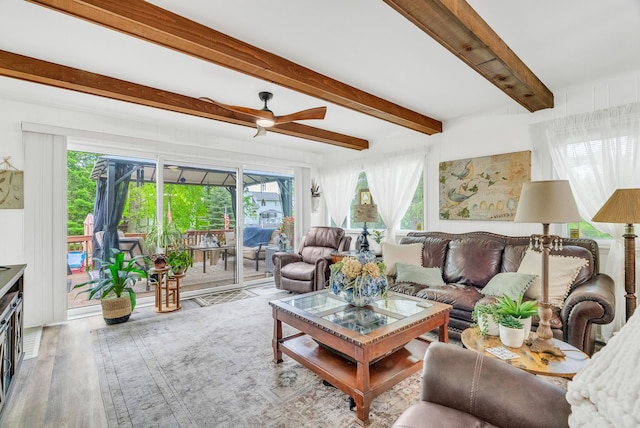living area with healthy amount of natural light, wood finished floors, ceiling fan, and beam ceiling