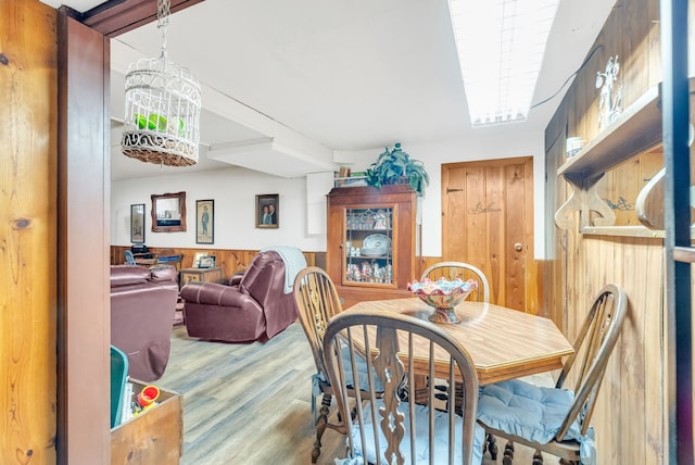 dining space featuring wood finished floors, wooden walls, and a wainscoted wall