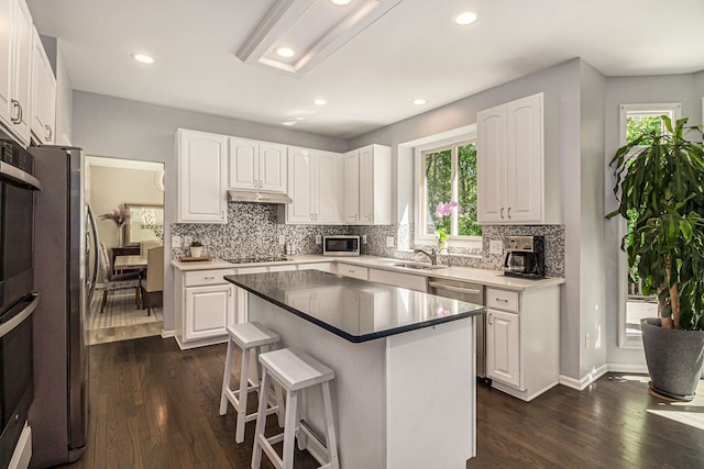 4804 Eagle Springs Ct, Clarkston, MI 48348 - kitchen featuring stainless steel appliances, a sink, dark wood-style floors, healthy amount of natural light, and recessed lighting