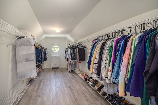 4804 Eagle Springs Ct, Clarkston, MI 48348 - walk in closet with wood finished floors and vaulted ceiling