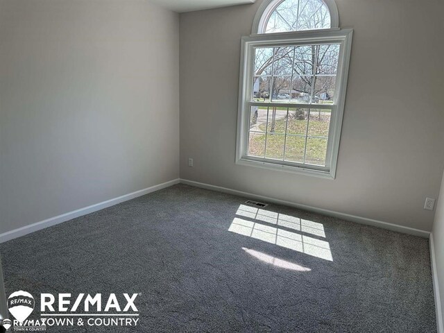 1208 Turrill Rd, Lapeer, MI 48446 - spare room with carpet, healthy amount of natural light, and baseboards