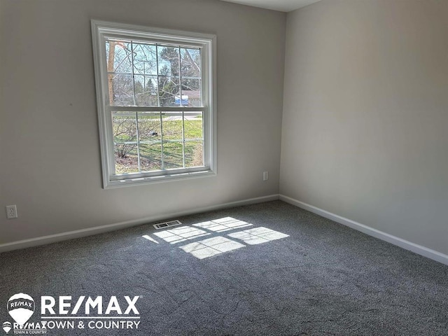 1208 Turrill Rd, Lapeer, MI 48446 - carpeted empty room with baseboards