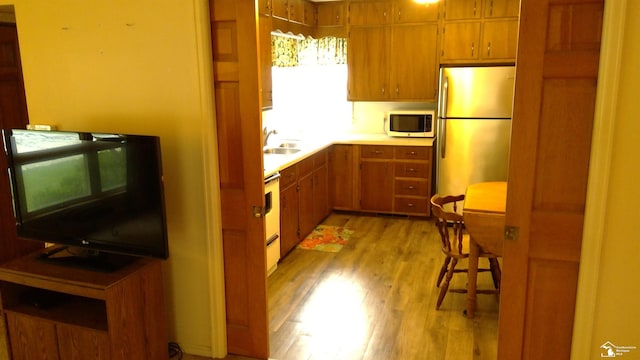 340 Oakwood St, Monroe, MI 48162