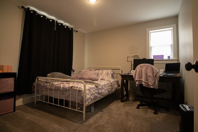 1226 E Bernhard Ave, Hazel Park, MI 48030 - view of carpeted bedroom