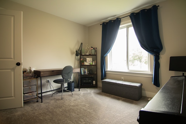 1226 E Bernhard Ave, Hazel Park, MI 48030 - view of carpeted office