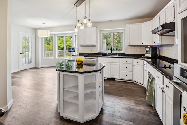 8148 Orchardview Dr, Washington, MI 48095 - kitchen featuring under cabinet range hood, a sink, healthy amount of natural light, and white cabinetry
