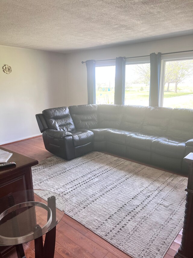 14805 Brady Rd, Chesaning, MI 48616 - photo 6