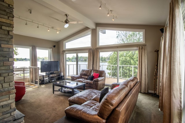 13496 S Horrell Rd, Fenton, MI 48430 - carpeted living area featuring track lighting and ceiling fan