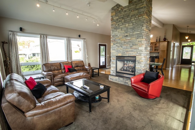 13496 S Horrell Rd, Fenton, MI 48430 - living room featuring plenty of natural light, carpet flooring, and track lighting