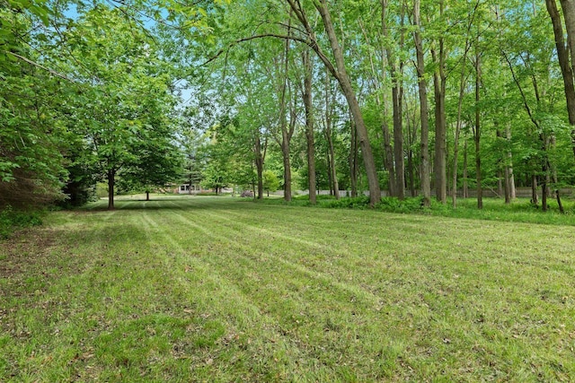 52851 Fairchild Rd, Chesterfield, MI 48051 - view of grassy yard