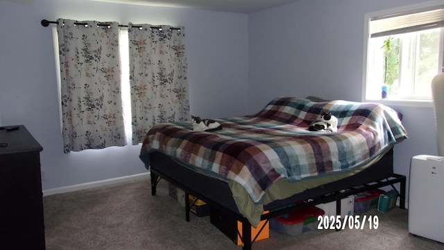 823 21st St, Jackson, MI 49203 - bedroom with carpet floors