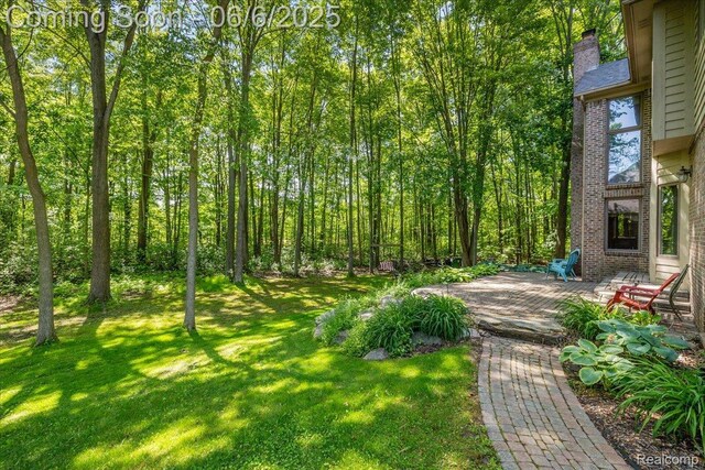 53629 Wayburn Ct, Utica, MI 48315 - view of grassy yard featuring a deck