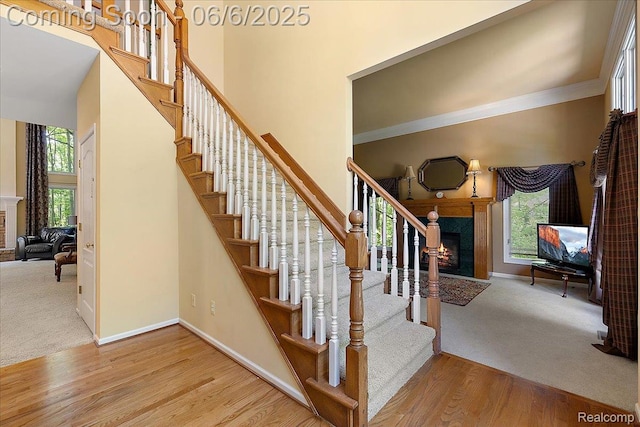 53629 Wayburn Ct, Utica, MI 48315 - stairs featuring a fireplace, carpet floors, a towering ceiling, baseboards, and ornamental molding