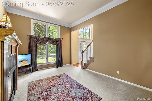 53629 Wayburn Ct, Utica, MI 48315 - carpeted entrance foyer with ornamental molding, baseboards, and stairway