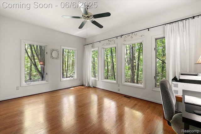 53629 Wayburn Ct, Utica, MI 48315 - unfurnished office with plenty of natural light, a ceiling fan, wood finished floors, and baseboards