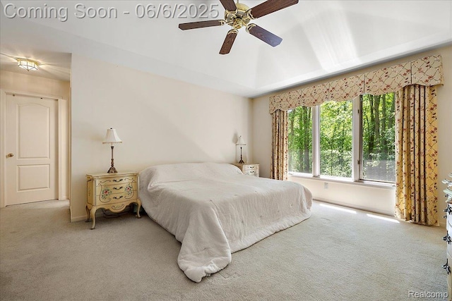 53629 Wayburn Ct, Utica, MI 48315 - carpeted bedroom with ceiling fan