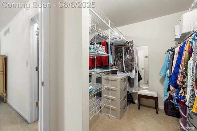 53629 Wayburn Ct, Utica, MI 48315 - spacious closet with carpet floors