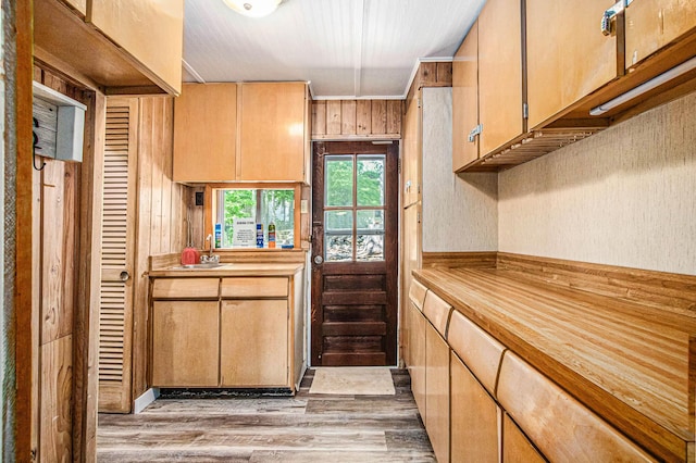 61564 Park St, Cassopolis, MI 49031 - kitchen featuring light wood-style floors and a sink