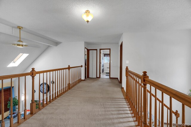 15743 Greenview, Fraser, MI 48026 - photo 22