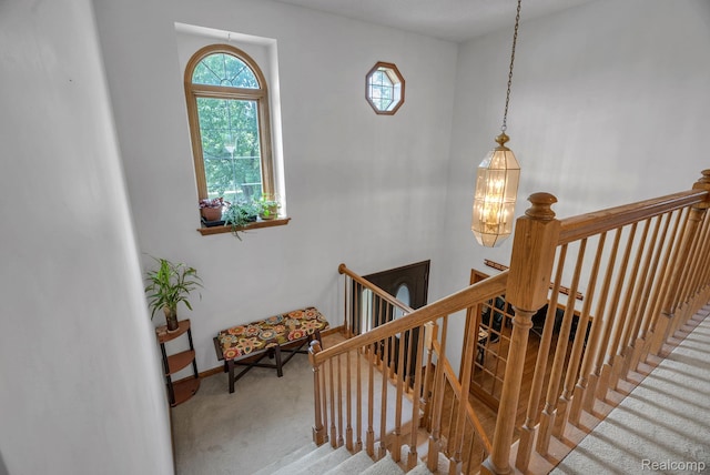 15743 Greenview, Fraser, MI 48026 - photo 21