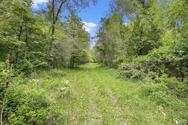 6505 Clover Ln, Lambertville, MI 48144 - view of wooded area