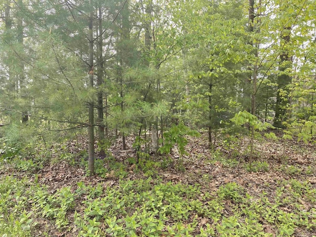 VL Oakridge Dr, Beaverton, MI 48612