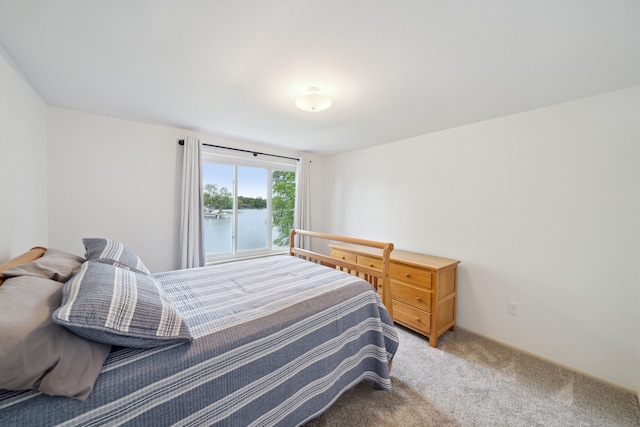 3732 Loch Dr, Highland, MI 48357 - view of carpeted bedroom