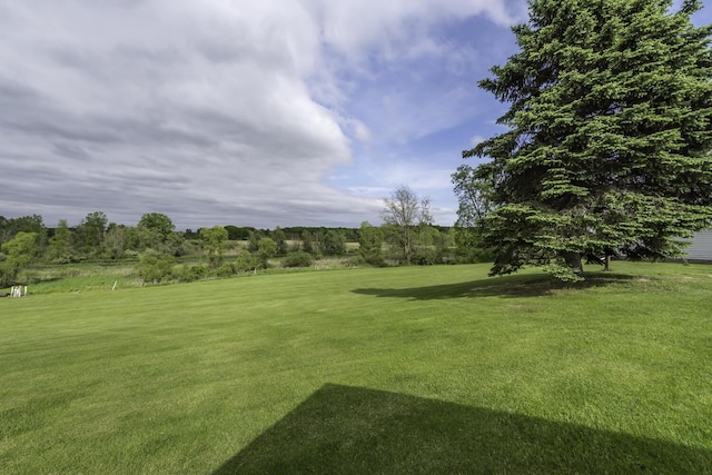 9561 Springville Hwy, Onsted, MI 49265 - view of grassy yard