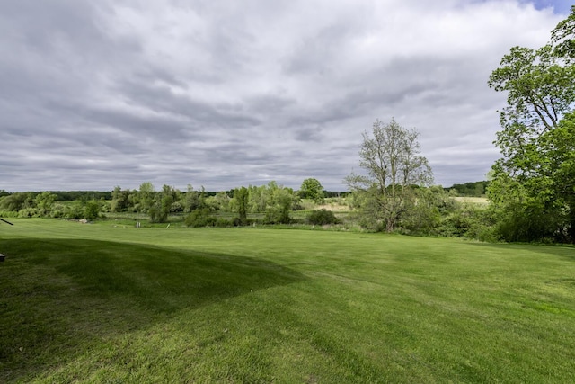 9561 Springville Hwy, Onsted, MI 49265 - view of grassy yard