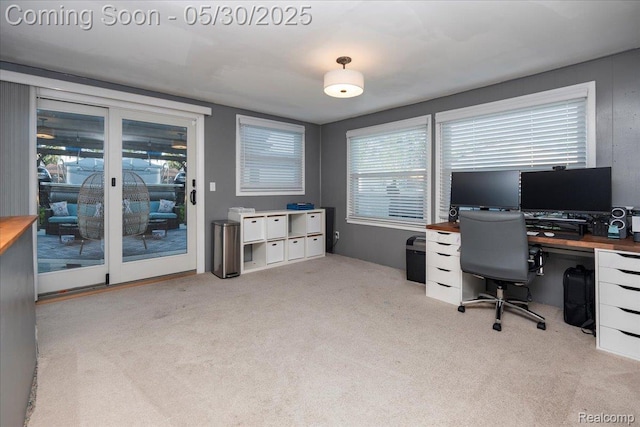 771 Easley Dr, Westland, MI 48186 - view of carpeted home office