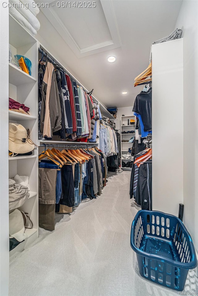 4715 Mandalay Ave, Royal Oak, MI 48073 - spacious closet with attic access and carpet flooring