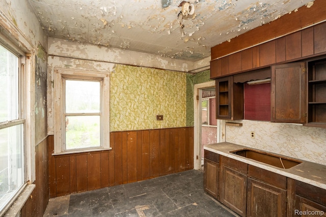 17257 Moenart St, Hamtramck, MI 48212 - kitchen featuring open shelves, wainscoting, wooden walls, and a sink