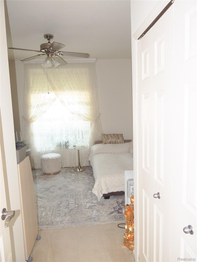 14478 Shadywood Dr, Sterling Heights, MI 48312 - bedroom with carpet floors and a ceiling fan