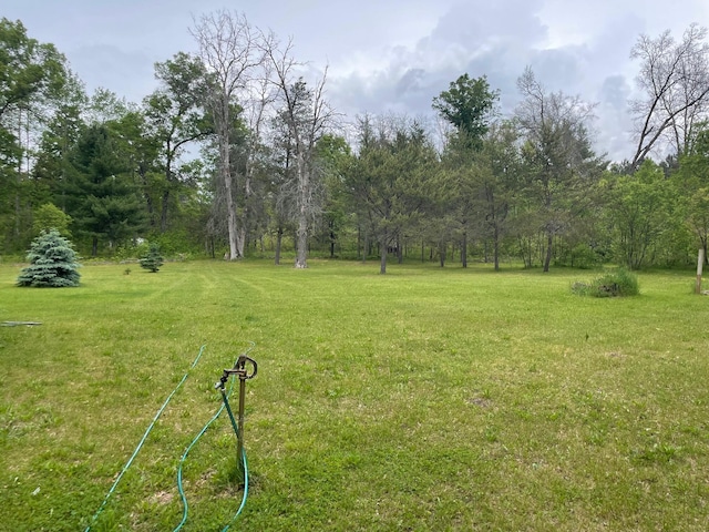 21576 Caberfae Hwy, Wellston, MI 49689 - view of grassy yard